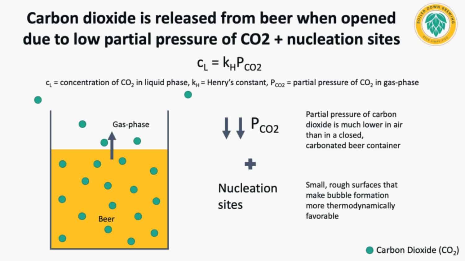 science behind beer