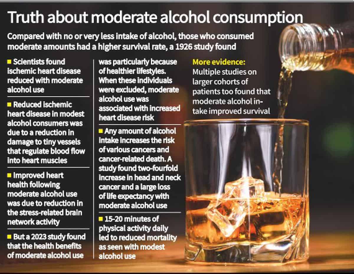 moderate consumption