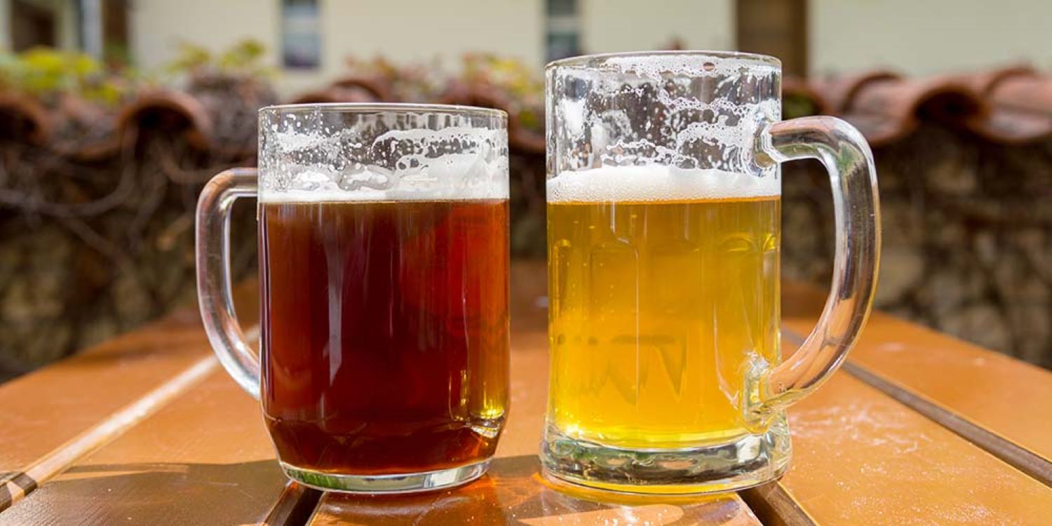 ale beer vs larger beer