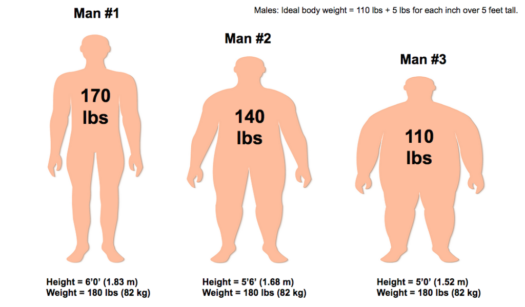 body height and weight