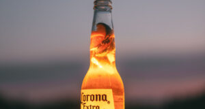 what does corona beer taste like