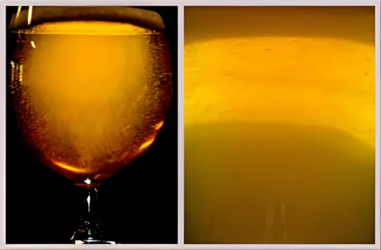 The Science of Beer - A Scientific Outlook of Beer Production - People ...